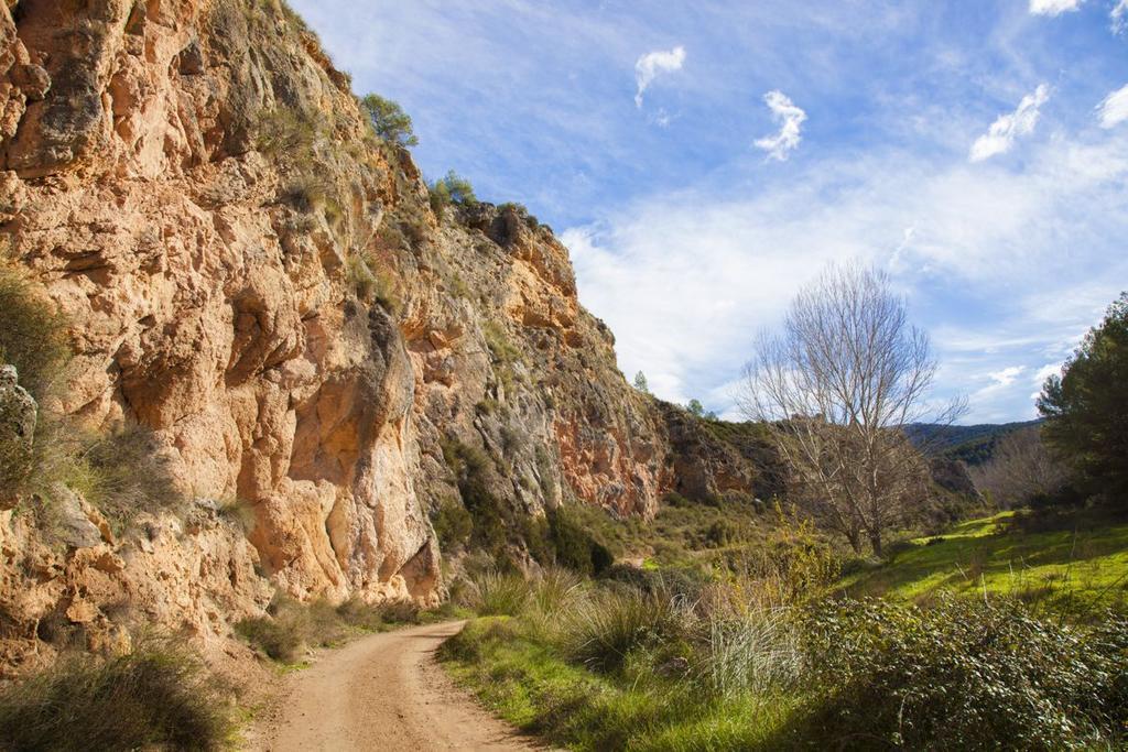 רקואנה Alojamiento Turistico La Tinaja מראה חיצוני תמונה